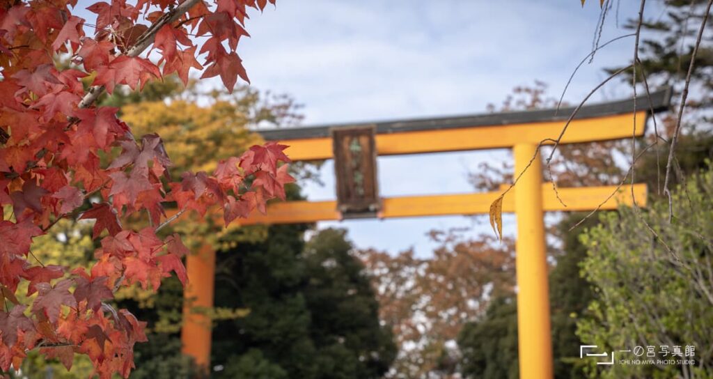 七五三詣のできる神社の秋の風景