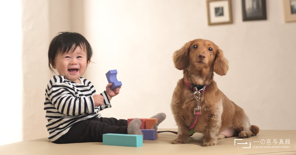 ミニチュアダックスフンドと子供