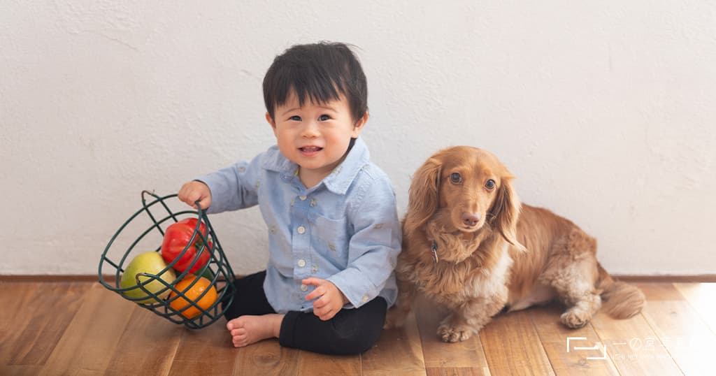 子供と子犬